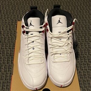 Air Jordan 12 Retro Twist